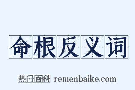 命根反义词是什么意思的图片